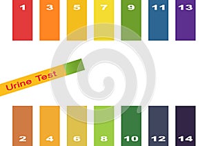 Urine Test . Hand holding test tube with pH indicator comparing color to scale and litmus strips for measurement of acidity. photo