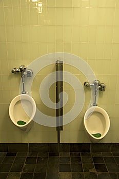 Urine toilets bathroom