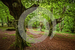 Urkiola Nature park in Spanish Basque Country