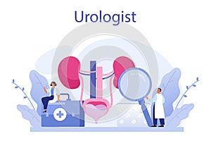 Urologist concept. Idea of kidney and bladder treatment, hospital care.
