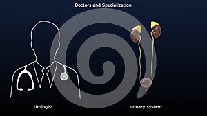 Urologist - Doctor and Specialization of urinary system photo