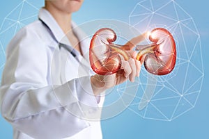 Urologist shows on-screen of a kidney.