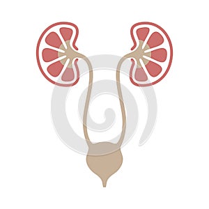 Urology symbol