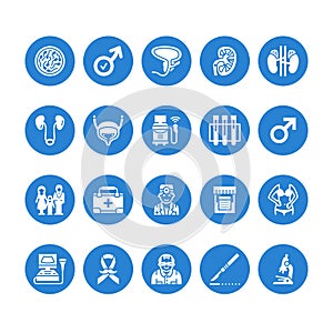 Urology vector flat glyph icons. Urologist, bladder, kidneys, adrenal glands, prostate. Medical pictograms for clinic