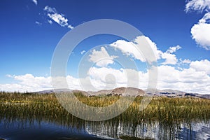 the Uros are a set of habitable artificial surfaces made of reeds, an aquatic plant that grows on the surface of Lake Titicaca