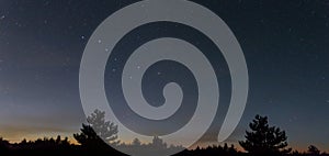Ursa Major constellation on a night starry sky above pine tree and plain