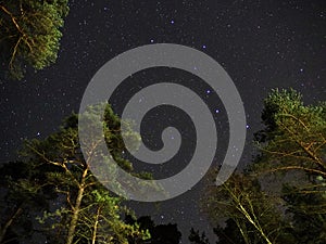 Big dipper stars on night sky over green forest photo
