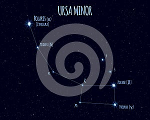 Ursa Minor constellation, vector illustration with the names of basic stars