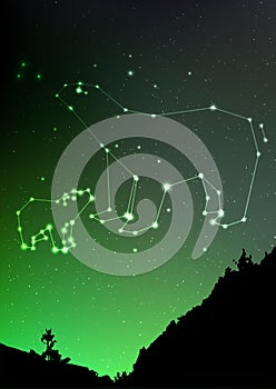 Ursa Minor and Major on night sky with forest landscape.