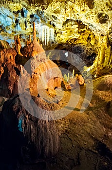 Ursus spelaeus cave in romanian mountains transilvania