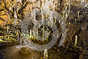 Ursus spelaeus cave in romanian mountains transilvania