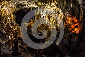 Ursus spelaeus cave in romanian mountains transilvania