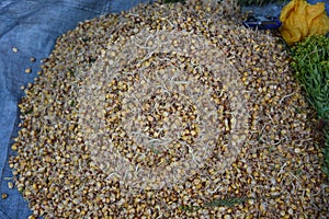 Urubamba, Peru - 30 June, 2022: Local produce on sale in the Urubamba Central Market, Sacred Valley, Cusco, Peru