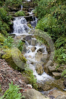 Urubamba River Tributary    829903