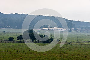 Uruguay Fields