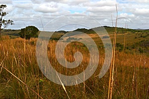 UruguayÂ´s landscape