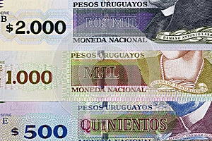 Uruguayan money a business background