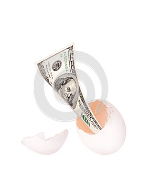 US$100 bill emerge from egg shell