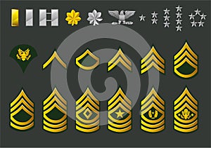 US army enlisted ranks photo