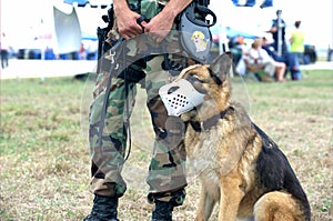 US Army Soldier and Guard Dog