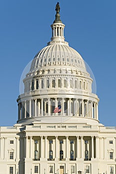 US Capitol Building photo