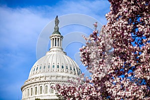 US Capitol Building