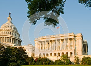 US Capitol building photo