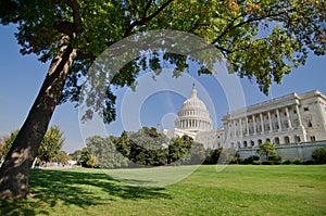 US Capitol building in Autumn, Washington DC, USA