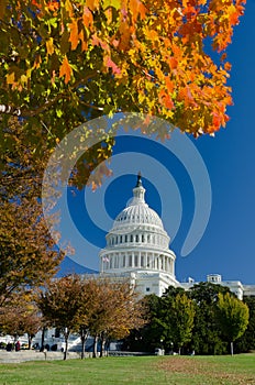 US Capitol building in Autumn, Washington DC, USA