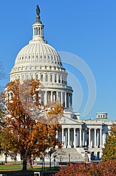 US Capitol building in Autumn, Washington DC, USA