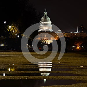 US Capitol Building and its reflection on rain pools