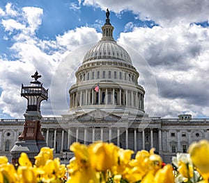 US Capitol Building in Washington DC, a government building iconic landmark symbol of democracy