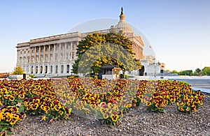 US Capitol Building Washington DC Spring