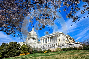 US Capitol Building - Washington DC United States