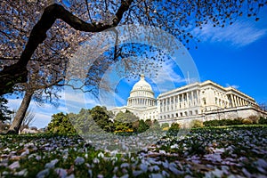 US Capitol Building - Washington DC United States