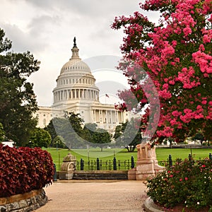 US Capitol building, Washington DC, USA