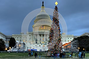US Capitol Christmas Tree