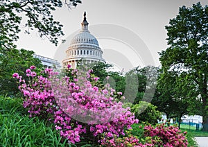 US Capitol Dome Washington DC