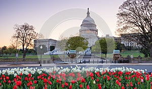 US Capitol Spring Washington DC