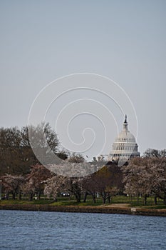 US Capitol in Washington DC