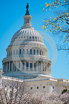 The US Capitol in Washington, DC. United States Capitol Building - Washington DC United States. American congress.