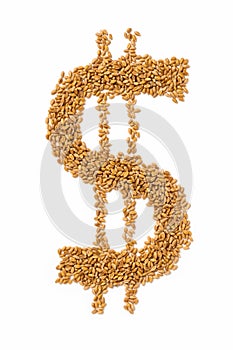 US Dollar sign made of wheat grains on white background. Concept of increasing food prices, global food scarcity, famine