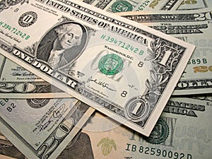 US Dollars photo