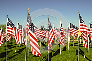 US flags in honor of 911