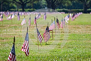 Noi bandiere veterani cimitero sul veterani 