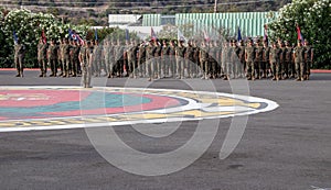 US Marines Standing at Attention