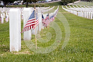 US Military Cemetery, Fort Rosecrants National Cem photo