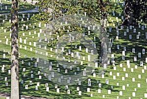 US Military National Cemetery.