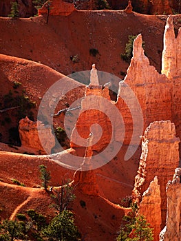 US National Parks, Bryce Canyon National Park