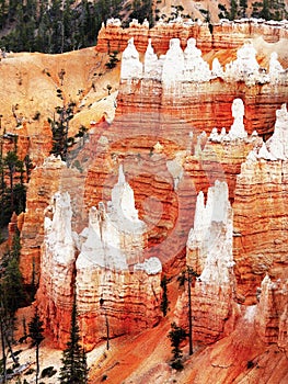 US National Parks, Bryce Canyon National Park, Utah